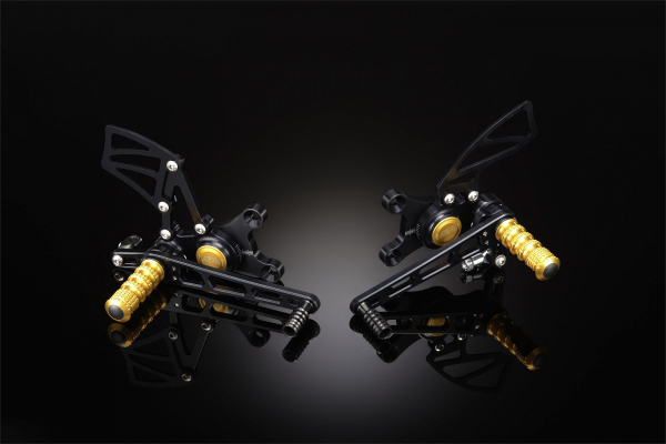 ABM Fußrastenanlage exCentro für Honda CBR 600 RR PC40 Bj. 2007 - 2012